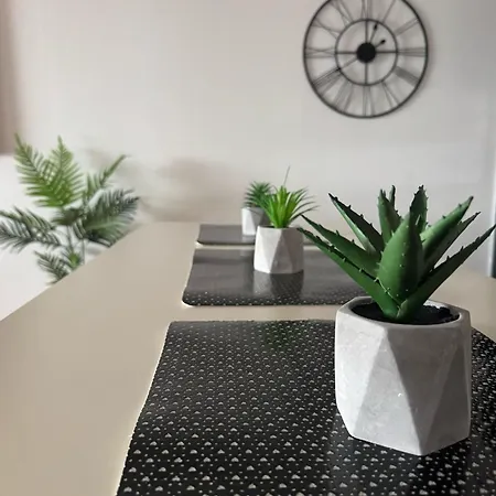 Lorena App 乌马格