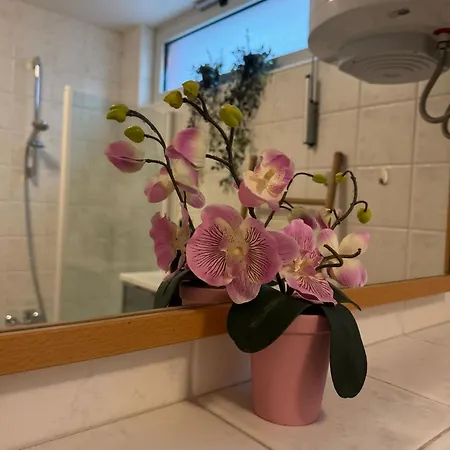 Lorena App Apartment